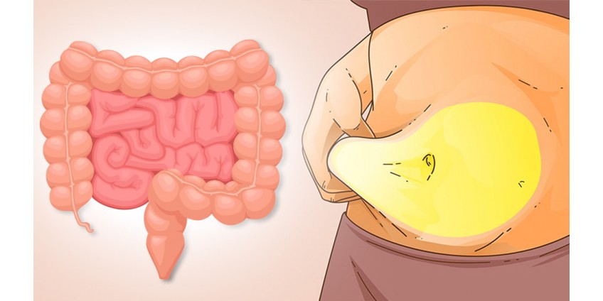 SARETE STUPITI! Come una disintossicazione intestinale può trasformarvi completamente!