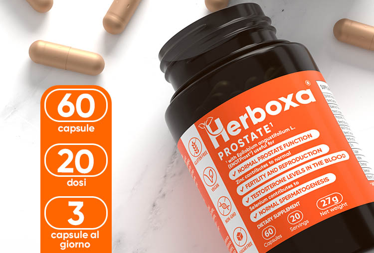 HERBOXA PROSTATE | 60 Capsule