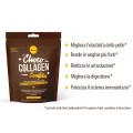 Herboxa Choco Collagen Complex Herboxa Choco Collagen Complex