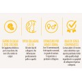 Herboxa Choco Collagen Complex Herboxa Choco Collagen Complex