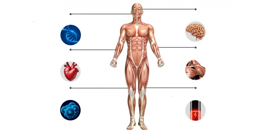 SENTITI 15 ANNI PIÙ GIOVANE  IN SOLE 8 SETTIMANE CON QUESTA  FORMULA ANTIETA'!