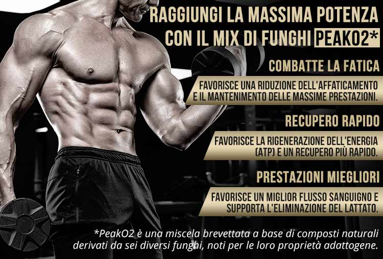 Herboxa Muscle Builder