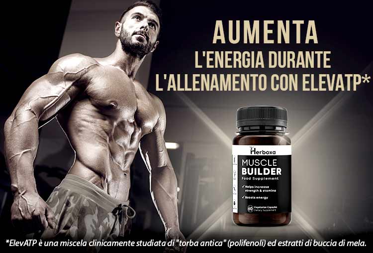 Herboxa Muscle Builder