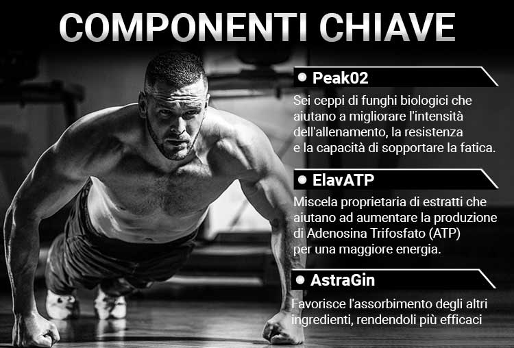 Herboxa Muscle Builder