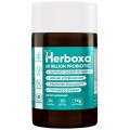 Herboxa Probiotic 60 Billion| Integratore alimentare  